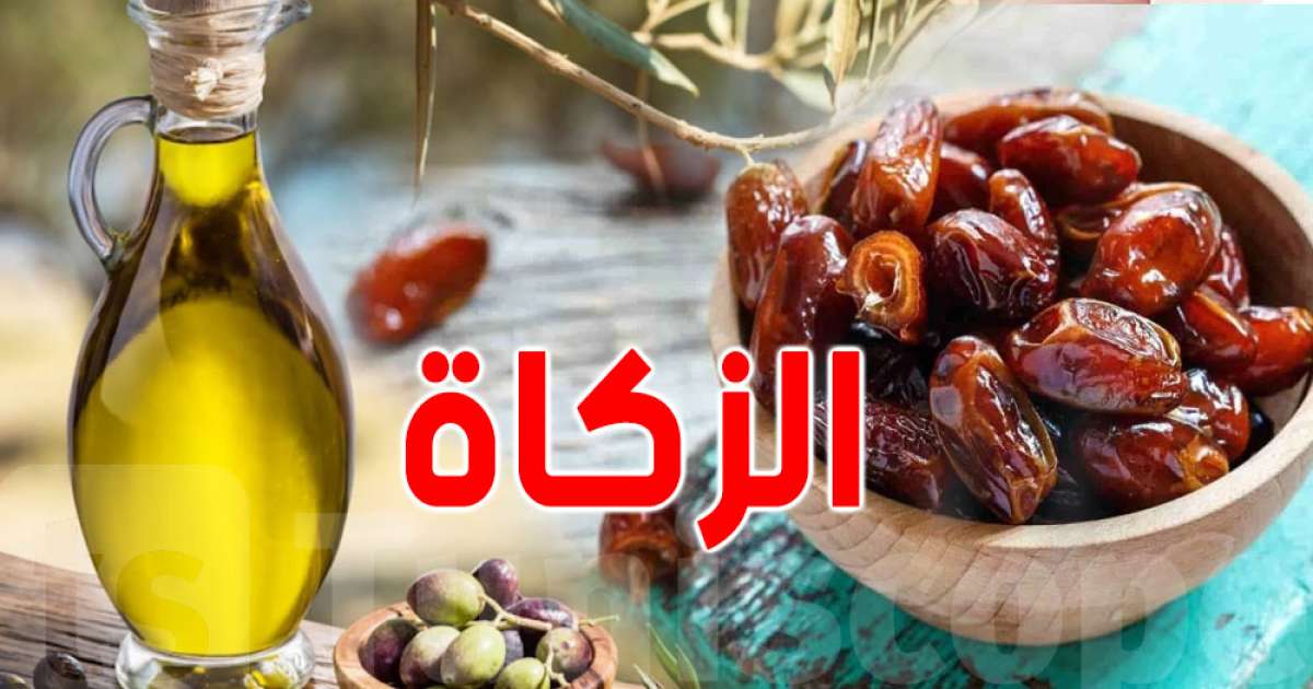 ديوان الإفتاء يحدّد قيمة زكاة الزيتون والتمر