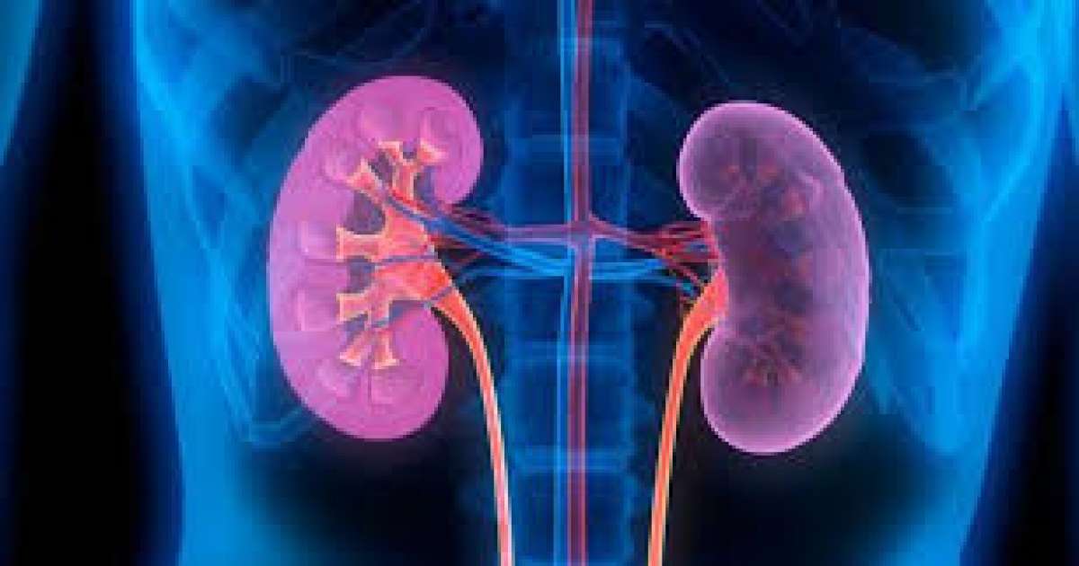 9 بالمائة من التونسيين يعانون من أمراض الكلى