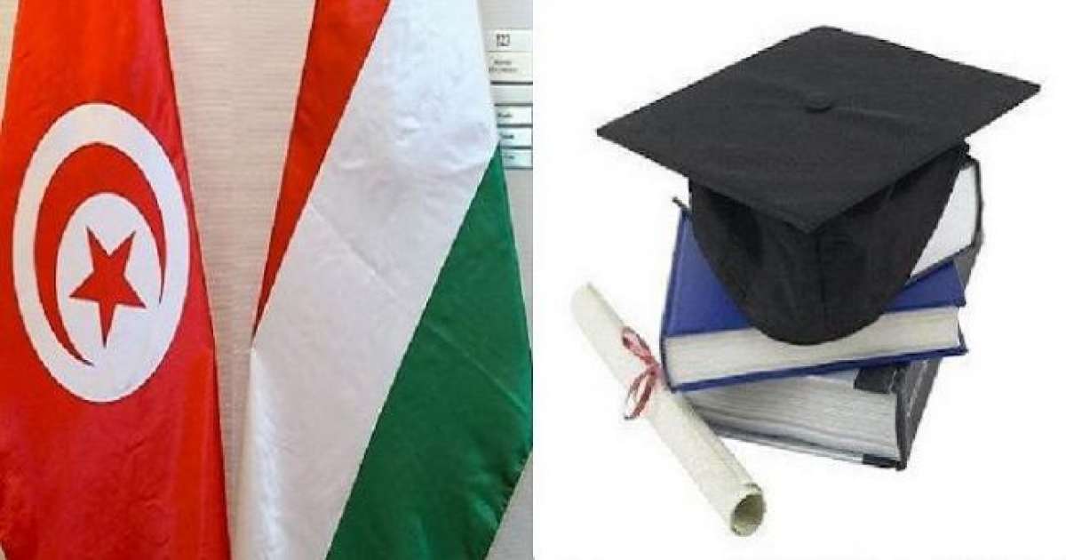 لفائدة الطلبة التونسيين: المجرّ تُسند 250 منحة بعنوان السنة الجامعية 2027-2026