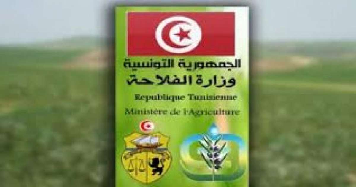 وزارة الفلاحة تُحذّر الفلاّحين من جرثومة بومريرة