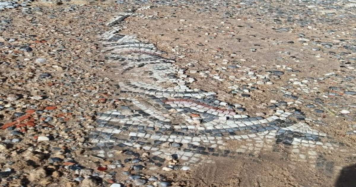 الهوارية: فسيفساء تاريخية مهملة وسط الطريق العام